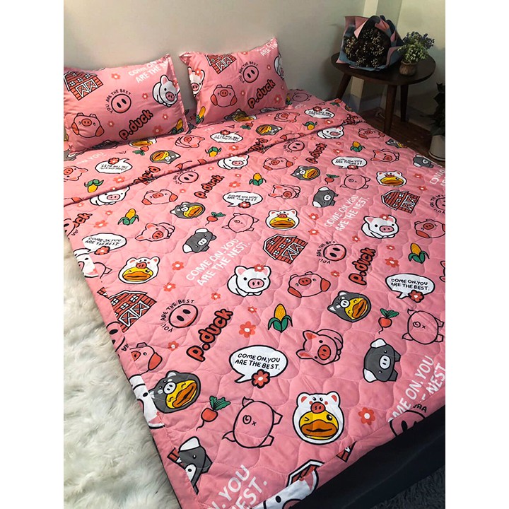Bộ Chăn Chần Bông Cho Các Bé ⚡Chăn Ga Gối⚡ Nhiều Mẫu Mã Đẹp 2021