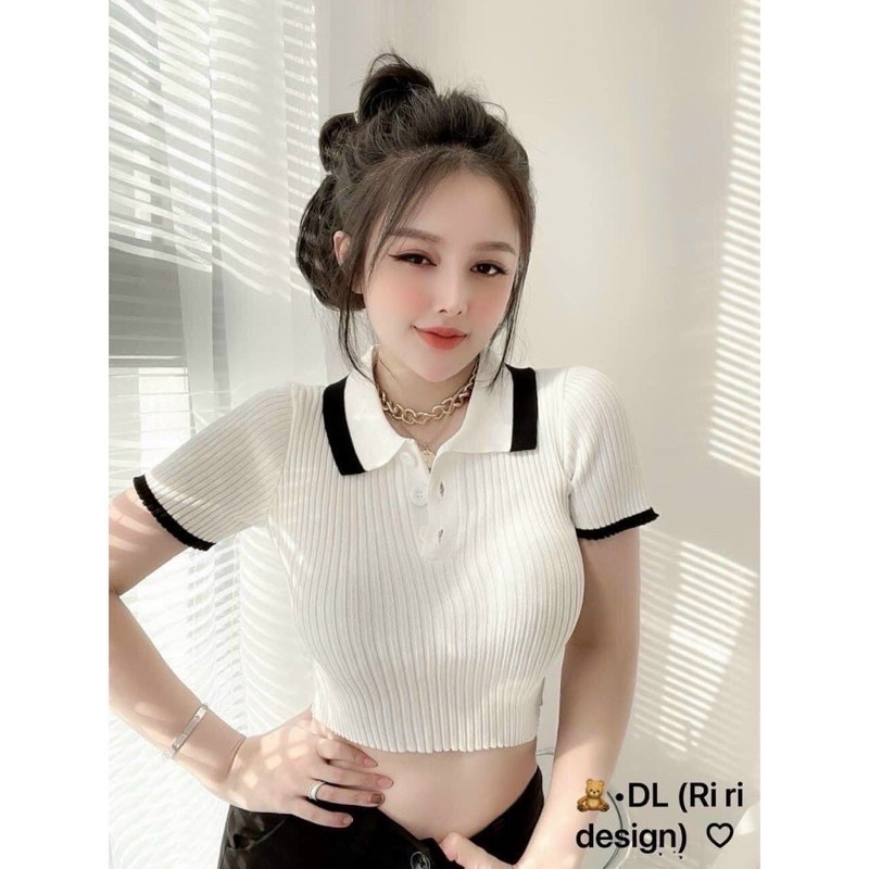 ÁO THUN GÂN TĂM CỔ TRỤ PHỐI VIỀN VL1