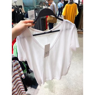 áo phông giấy cổ tim