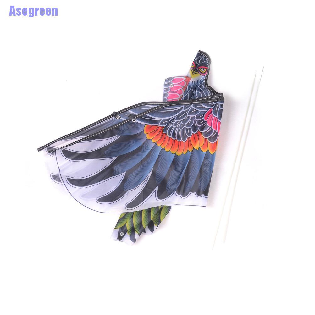 Chú Chim Đại Bàng Cỡ Lớn Độc Đáo