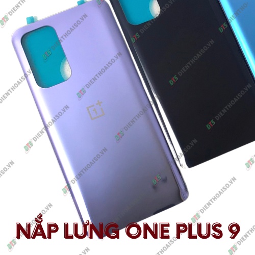 Nắp lưng onepplus 9