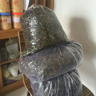 Chè vằng nghệ an