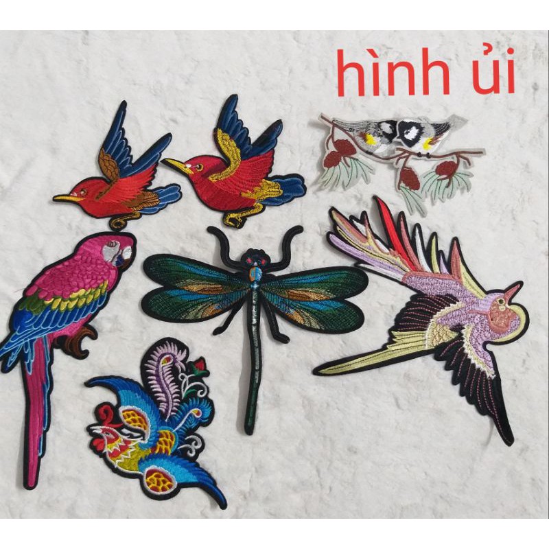 Hình may và hình ủi trang trí.