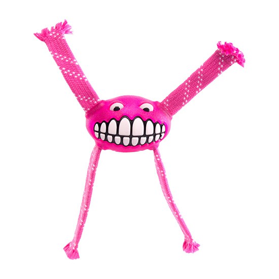 [Size S] Đồ chơi cho chó ROGZ  FLOSSY GRINZ ORALCARE TOY -  SMALL SIZE
