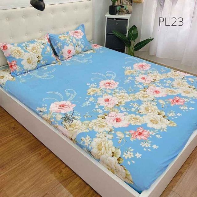 ☆XẢ HÀNG☆Set Ga Chun và 2 Vỏ Gối Đầu  ngẫu nhiên.