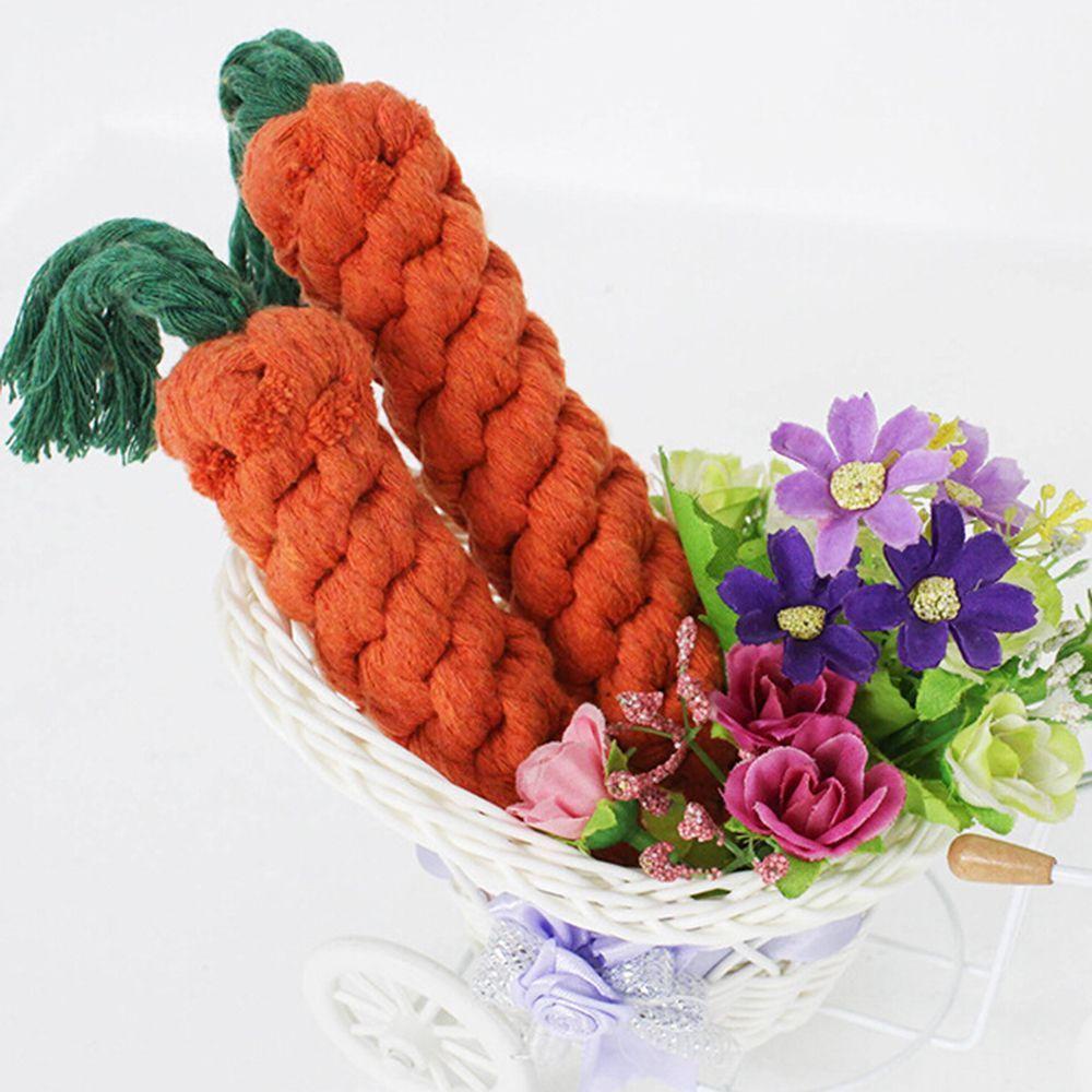 (MớI) Đồ Chơi GặM BằNg NhựA Cho Thú Cưng