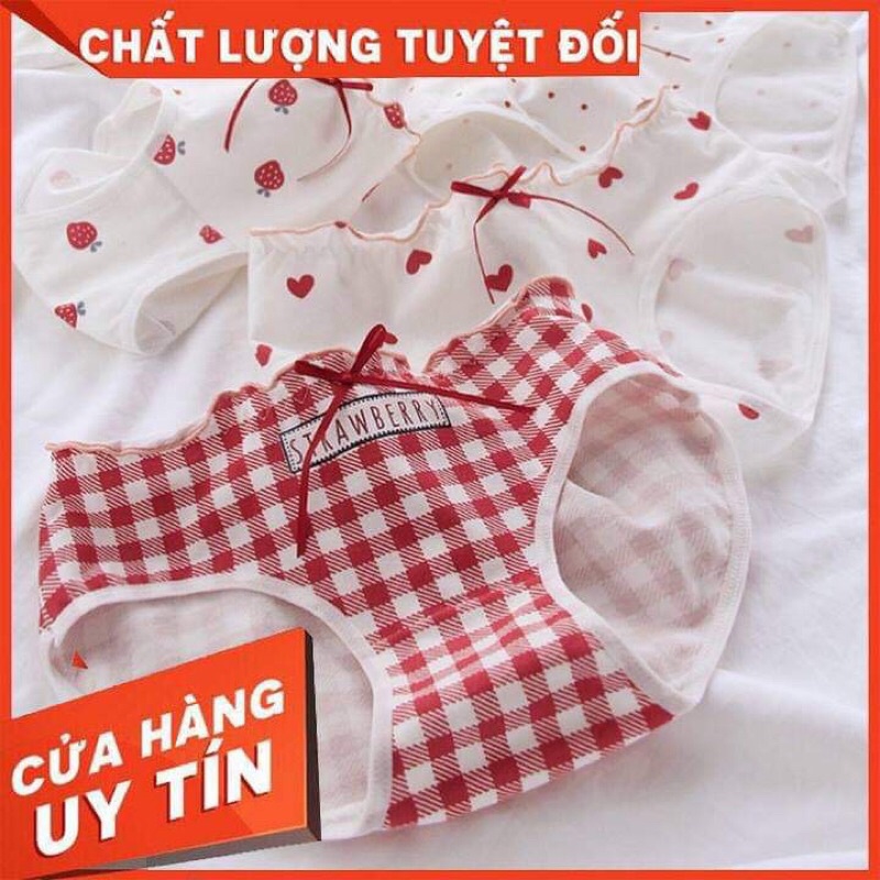 Set 4 Quần Chip Cotton - 4 Chiếc Siêu Cute - Co Dãn Thoải Mái - Cotton Bền Màu Bền Vải - Có Thể Làm Quà!
