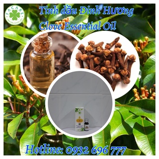 Tinh dầu Đinh Hương Clove essential oil giúp làm giảm căng thẳng, ổn định huyết áp - 500ml