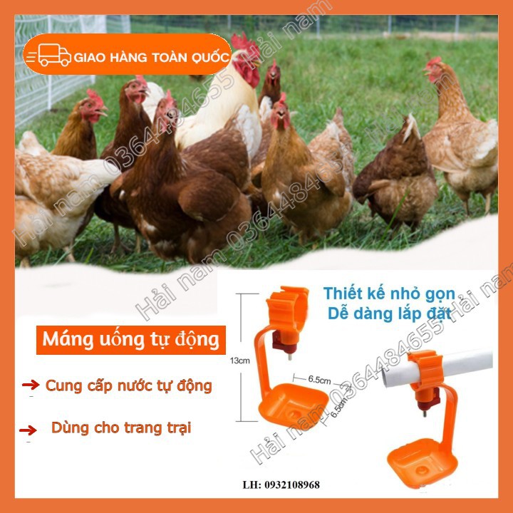 Máng uống nước tự động [ Combo 2 máng ] - Máng uống nước nhỏ giọt