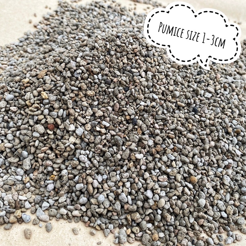 Đá pumice size 1-3, 3-6mm