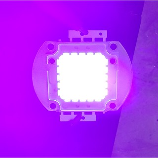 Chip led UV 50W