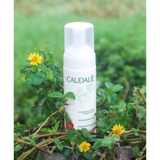 Sữa rửa mặt dạng bọt Caudalie 150ml