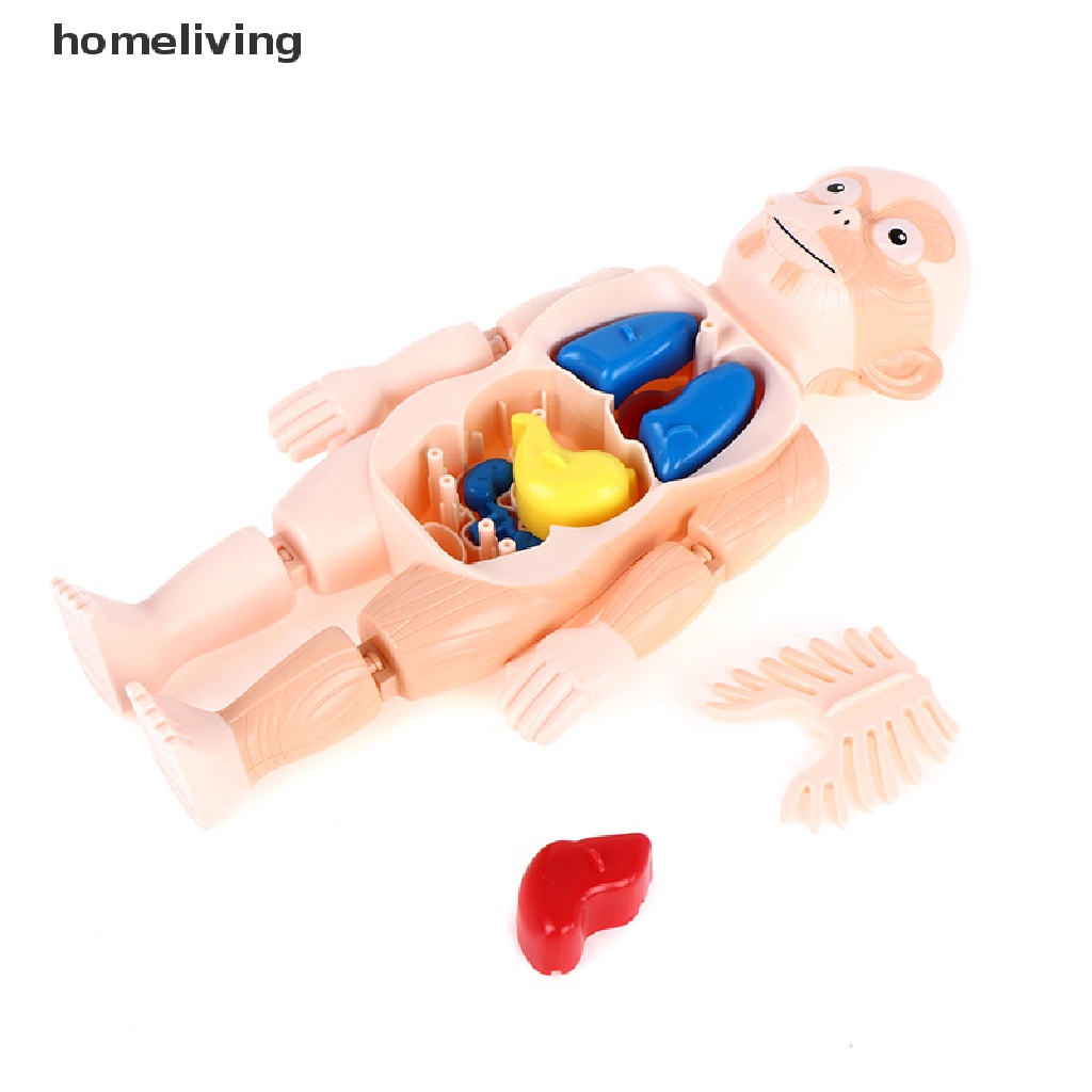 Bộ Đồ Chơi Xếp Hình Cơ Thể Người 3d Montessori
