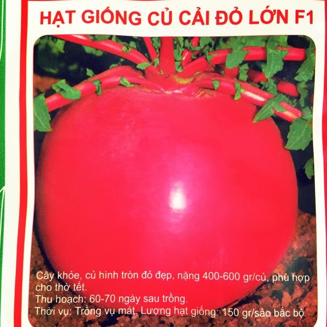 Hạt giống củ cải đỏ khổng lồ( củ cải đỏ lớn)