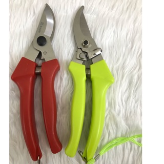 Kéo nhà bếp và cắt tỉa cây cảnh hãng rimei