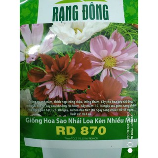 Hạt giống Hoa Sao nhái loa kèn nhiều màu ❤️FREESHIP XTRA❤️