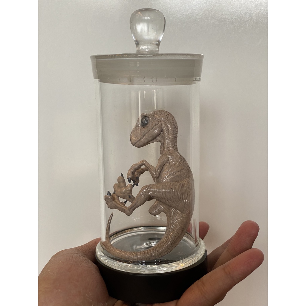 Mô hình lọ phôi Velociraptor chính hãng Rebor