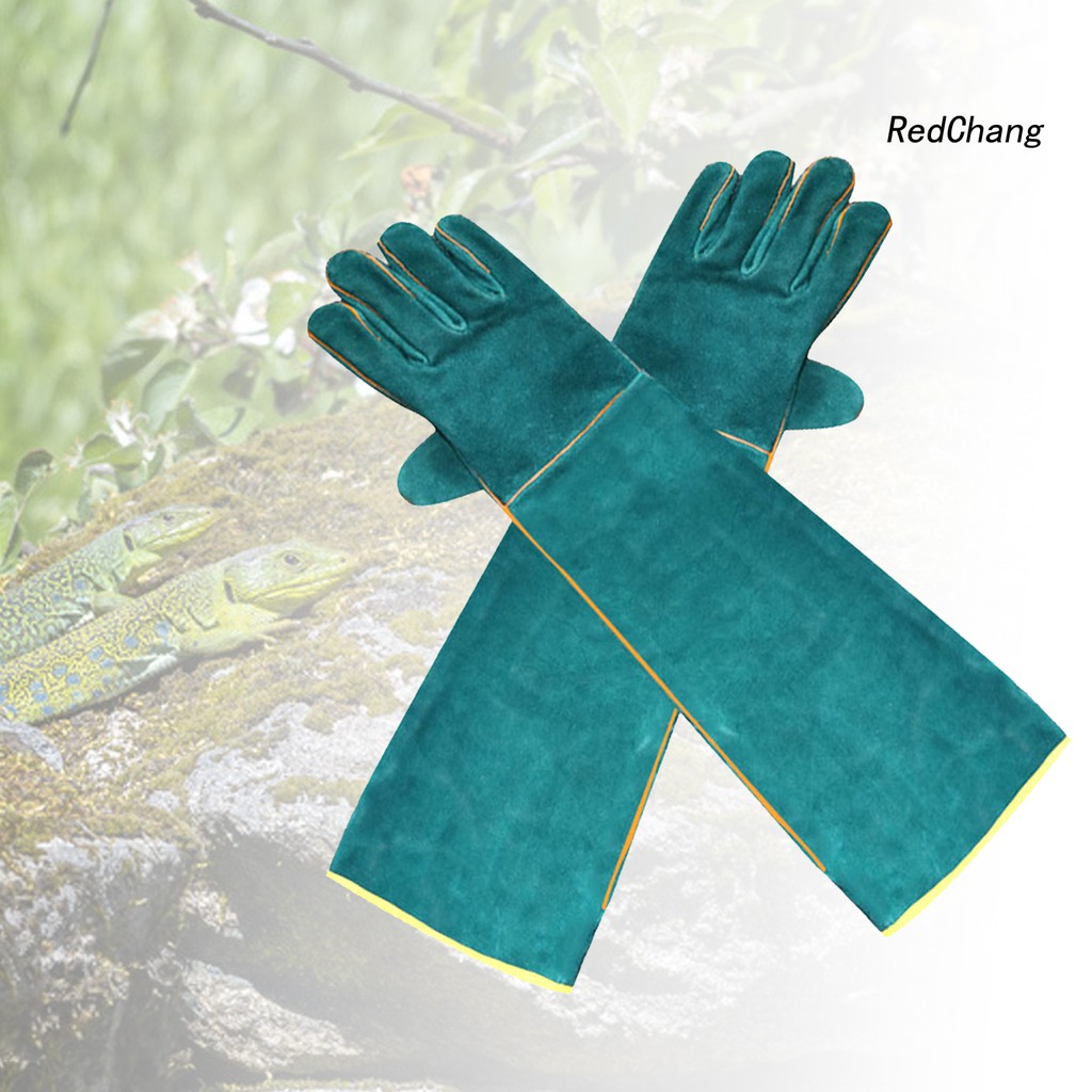 Set 2 Găng Tay Bảo Vệ Động Vật Bò Sát
