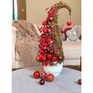 cây thông noel bằng rêu
