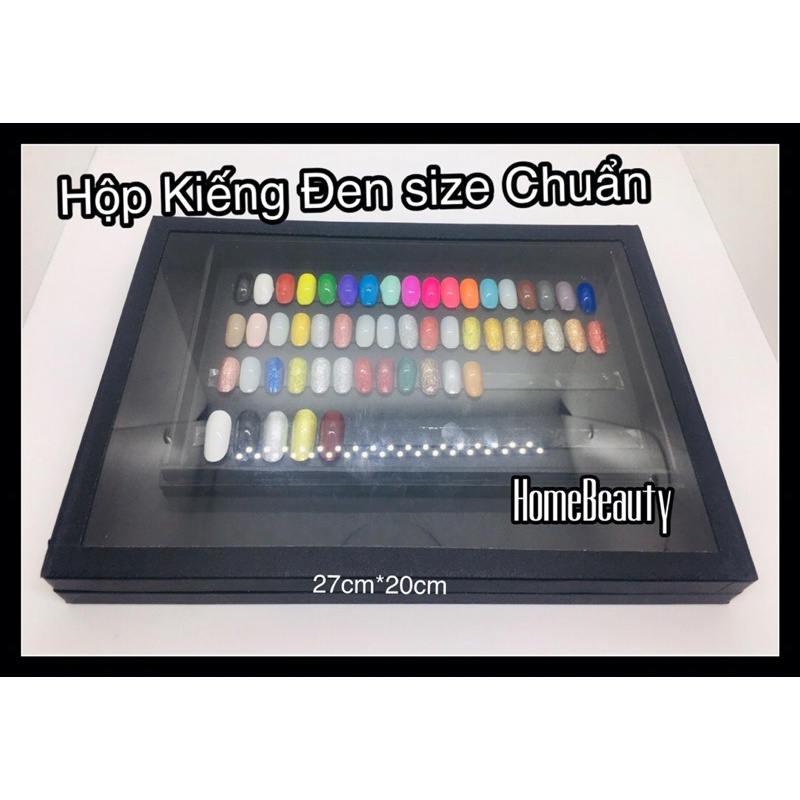 HỘP KIẾNG ĐEN TRƯNG MẪU SIZE CHUẨN
