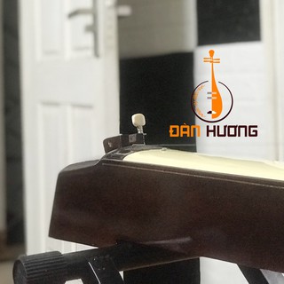 Đàn bầu thường