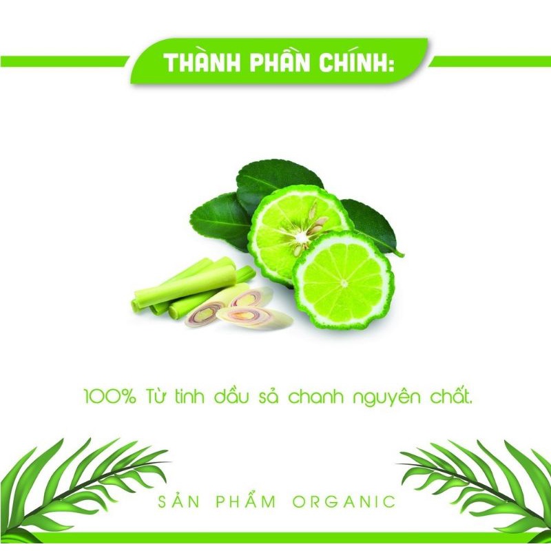 Tinh dầu Sả chanh thảo mộc AN AN, giúp thơm phòng, đuổi muỗi 10ml