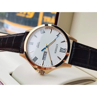 Đồng hồ nam Citizen BF2023