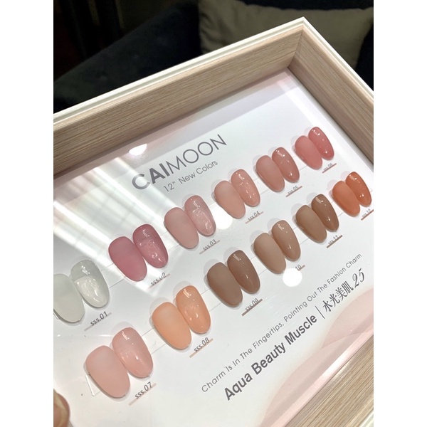 Set sơn thạch caimoon cao cấp 12chai