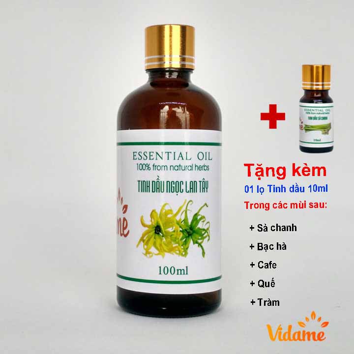 Tinh Dầu Ngọc Lan Tây 100ML VIDAME Cap cấp - Xông thơm phòng, khử mùi hôi cực kỳ hiệu quả