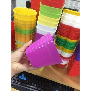 chậu nhựa,combo 200k