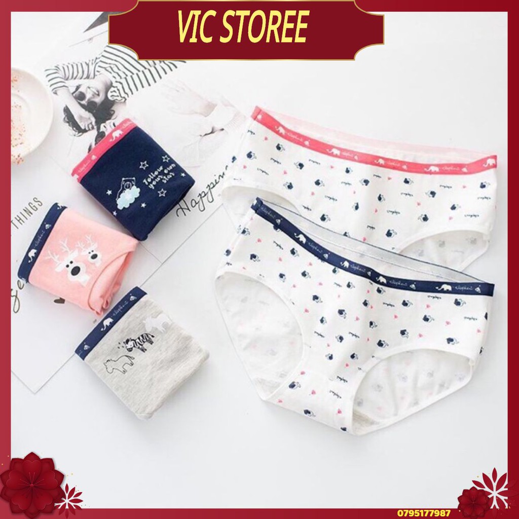 Túi Zip 5 Chiếc Quần Lót Cotton Nữ Cute Cao Cấp ( Giao ngẫu nhiên hoặc ib chọn màu)