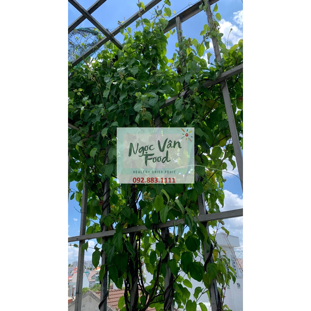 Lá giang sấy khô hút chân không 100gr