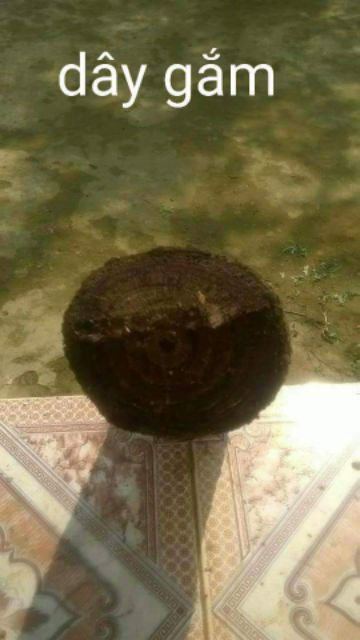 100gr cao gắm chuẩn xịn