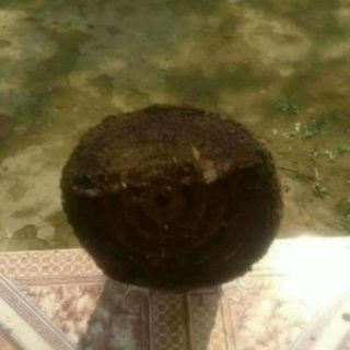 100gr cao gắm chuẩn xịn