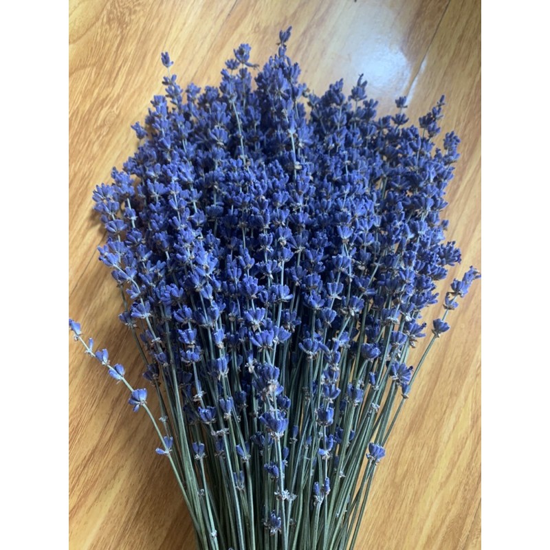 LAVENDER GIÁ SIÊU YÊU CHO 1 CÀNH