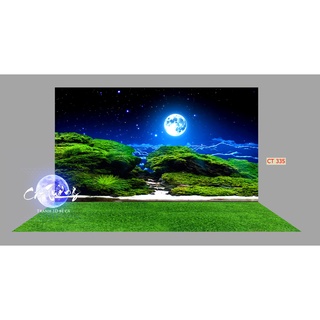 tranh 3d. tranh dán bể cá thủy sinh, bể cá rồng (tranh lưng)