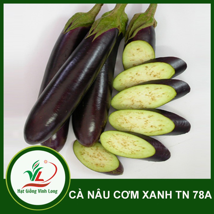 Hạt giống Cà nâu cơm xanh TN 78A