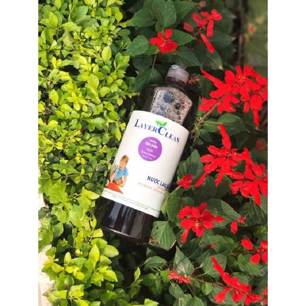 Nước lau sàn Hữu cơ LayerClean hương gió biển 1,25 lít - Khô nhanh, Diệt vi khuẩn, Bảo vệ sàn gỗ