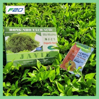 Sỉ 10 hộp 250gr rong nho tách nước JAVIE - CHÍNH HÃNG