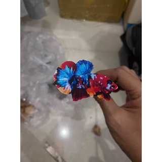 cây kè cá betta mô hình koi red galaxy + đũa đã gắn đủ phụ kiện!