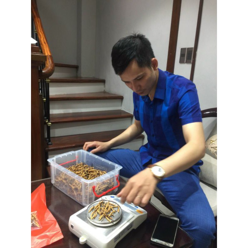 Đông Trùng Hạ Thảo Na Khúc Tây Tạng Hộp 40g 120 Con