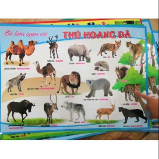 Tờ tranh bé làm quen với con vật hoang dã