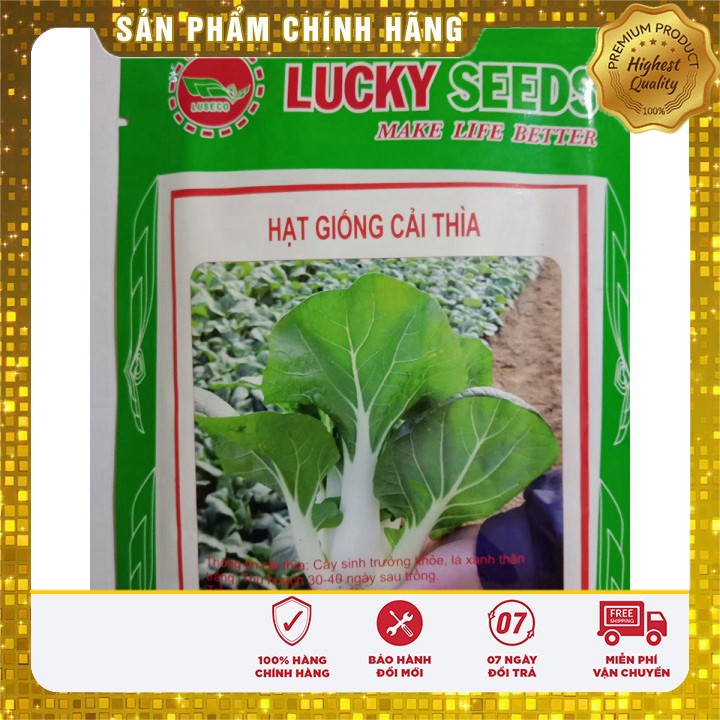 Hạt giống rau cải thìa cao sản trồng thùng xốp