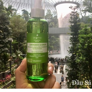 Dầu massage sả chanh gừng pháp 💚quà hot 💚 tinh dầu massage body oil spa sả gừng chanh, dầu mát xa spa