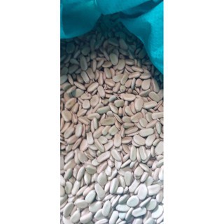 200gram hạt keo gai giống
