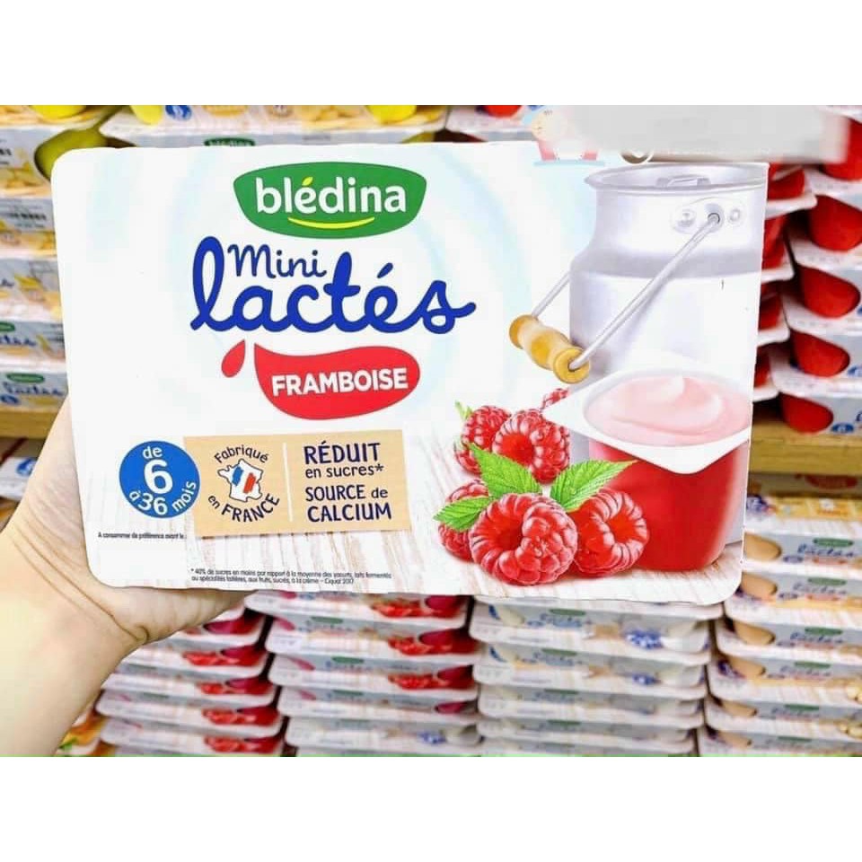 Sữa Chua Nguội Cho Bé Bledina Pháp Đủ Vị Cho Bé Từ 6 Tháng Tuổi Thơm Ngon Bổ Sung Vitamin Khoáng Chất Hỗ Trợ Tiêu Hóa