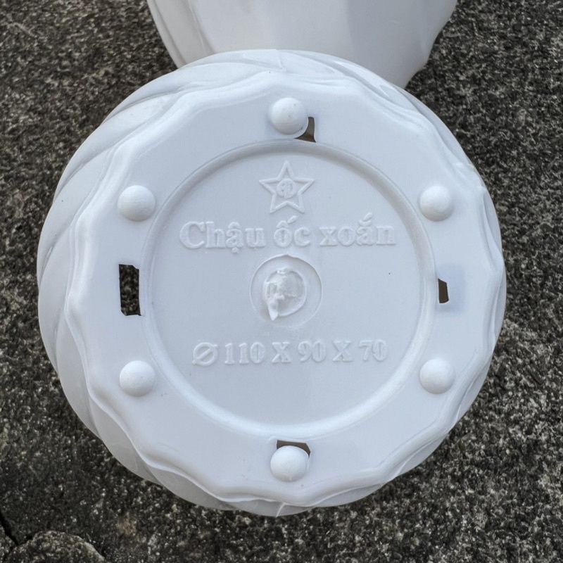 Chậu nhựa trồng cây hoa,sen đá hoạ tiết xoắn ốc - Chậu trồng cây để bàn màu trắng dày đẹp