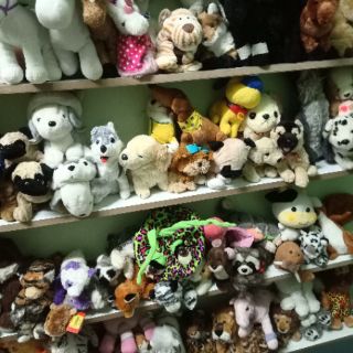 Gấu bông con vật