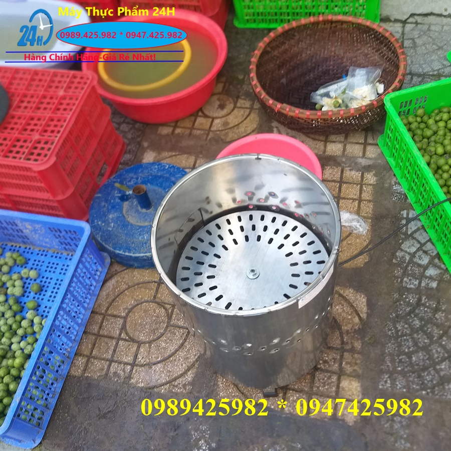 Máy gọt vỏ cóc,Máy cạo vỏ củ mã thầy,máy cạo vỏ chanh,vỏ sấu mô tơ 1.1kw
