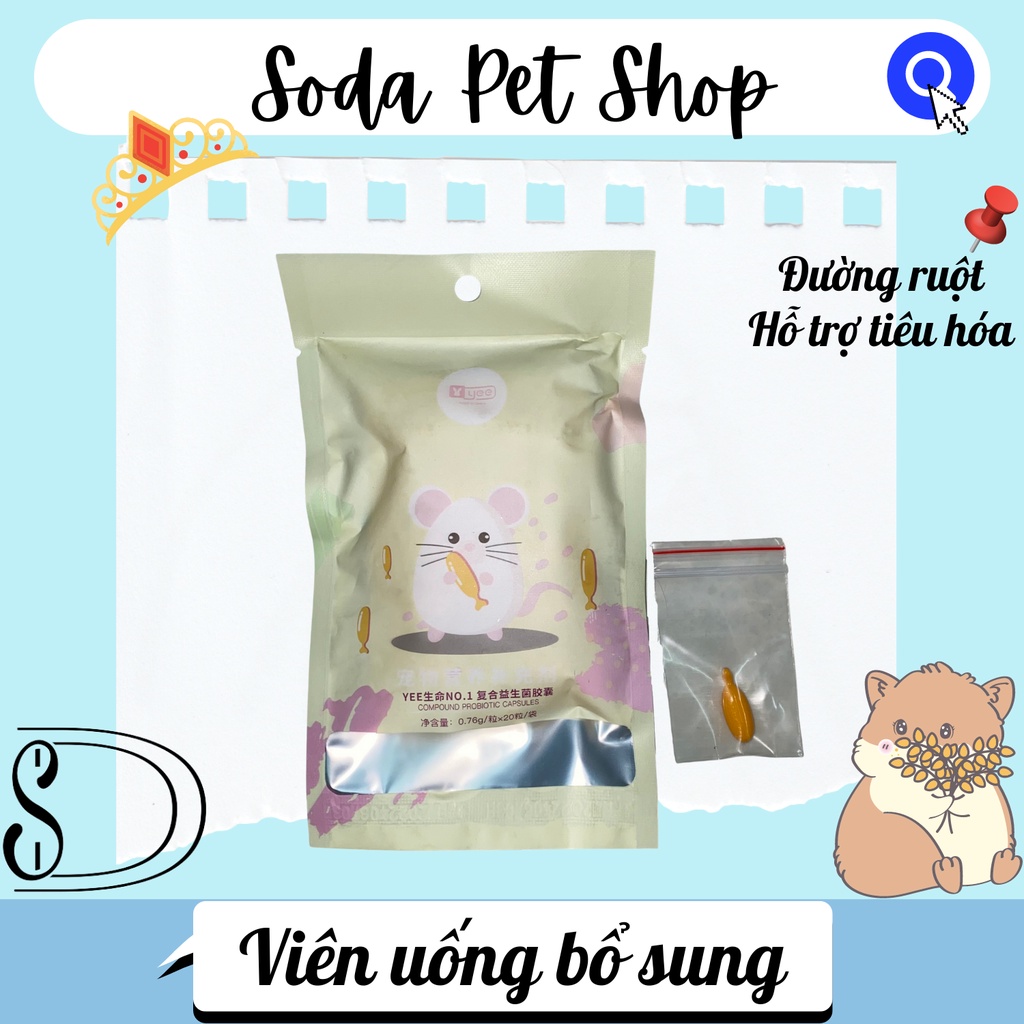 Viên Uống Bổ Sung Yee Cho Hamster